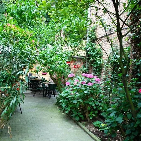 The 16th Century Horse Alley Amberes