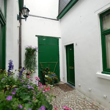 The 16th Century Horse Alley Amberes