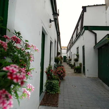 The 16th Century Horse Alley アパート アントウェルペン