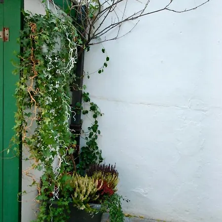 Apartamento The 16th Century Horse Alley *